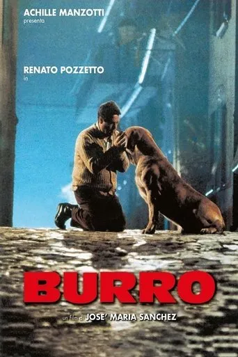 Póster de Burro