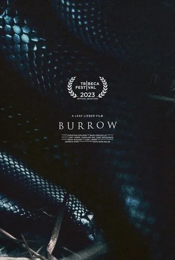 Póster de Burrow