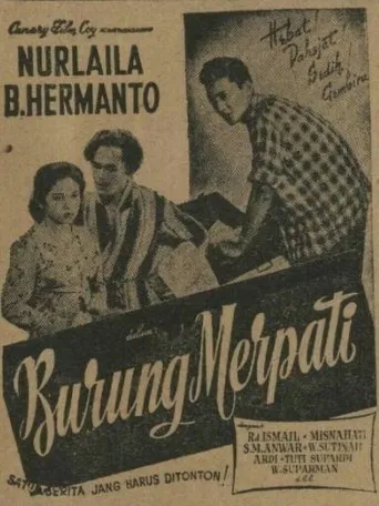 Póster de Burung Merpati