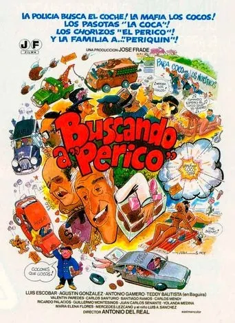Póster de Buscando a Perico