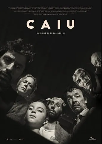 Póster de Caiu