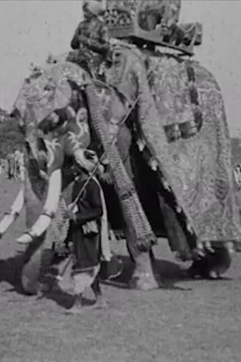 Póster de Calcutta Pageant