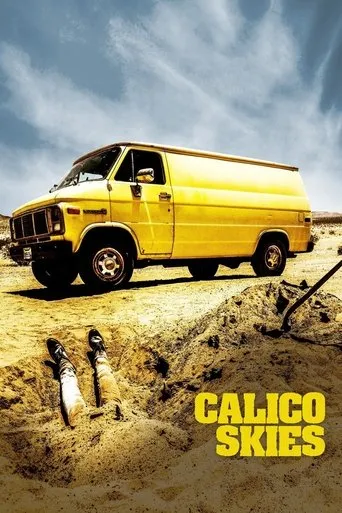 Póster de Calico Skies