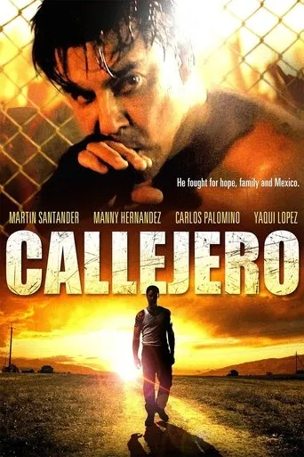 Póster de Callejero