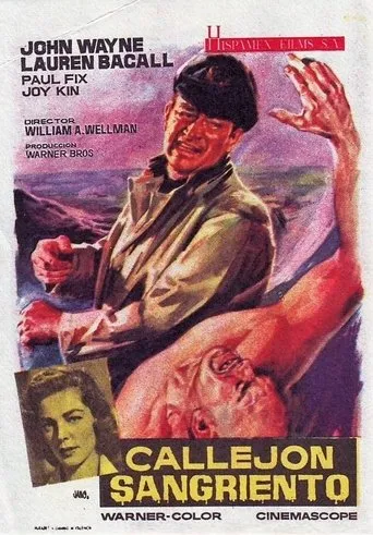 Póster de Callejón sangriento