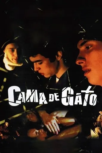 Póster de Cama de Gato