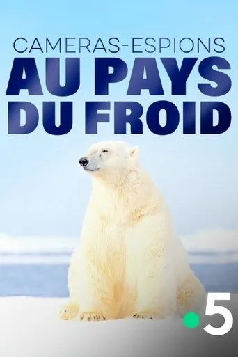 Póster de Caméras-espions au pays du froid