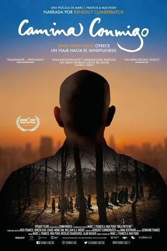 Póster de Camina conmigo