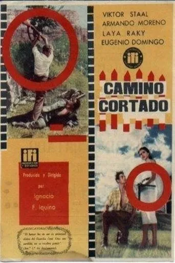 Póster de Camino cortado
