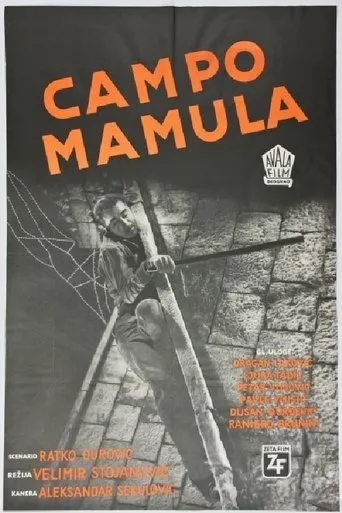 Póster de Campo Mamula