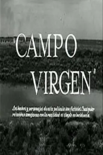 Póster de Campo virgen
