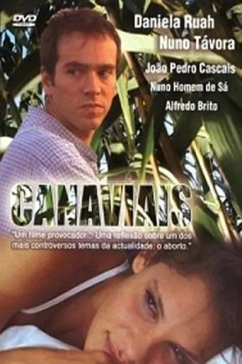 Póster de Canaviais