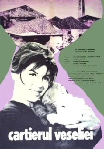 Póster de Cartierul veseliei