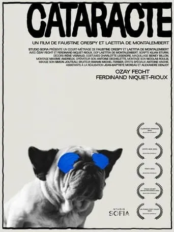 Póster de Cataracte