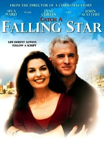Póster de Catch a Falling Star