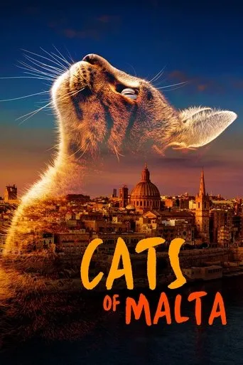 Póster de Cats of Malta