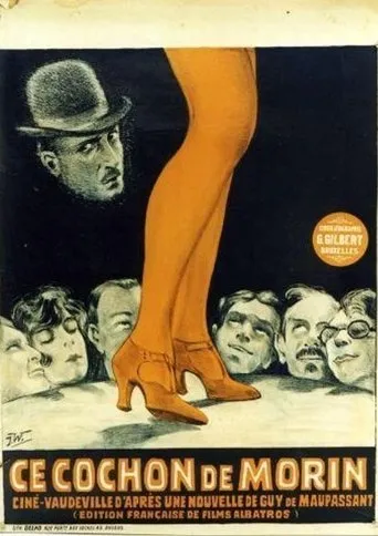 Póster de Ce cochon de Morin