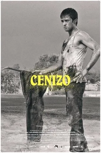 Póster de Cenizo