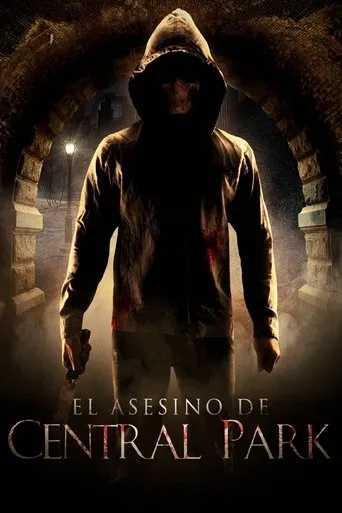 Póster de Central Park