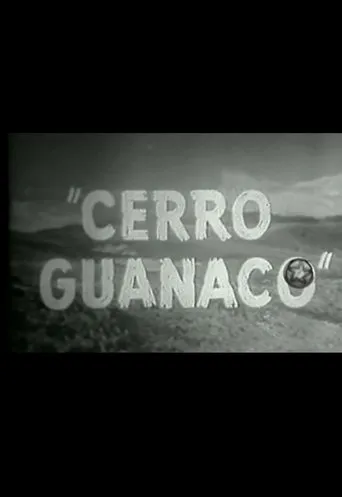 Póster de Cerro Guanaco