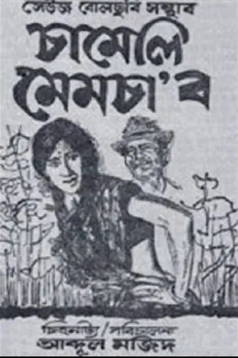 Póster de Chameli Memsaab