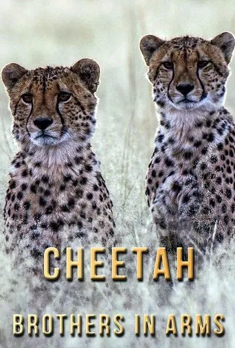Póster de Cheetah Brothers in Arms