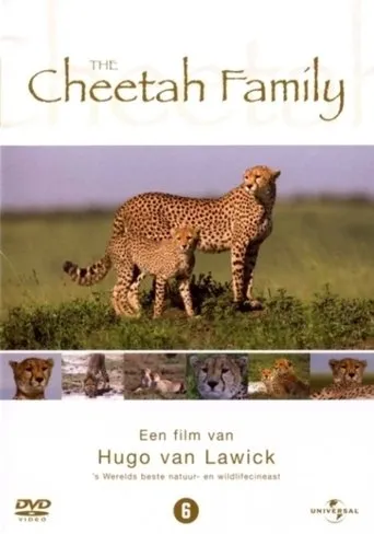 Póster de Cheetah Story