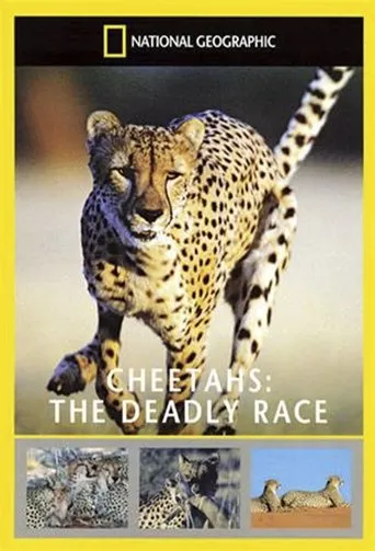 Póster de Cheetahs: The Deadly Race