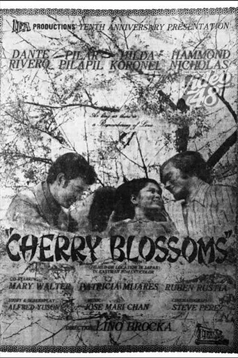 Póster de Cherry Blossoms
