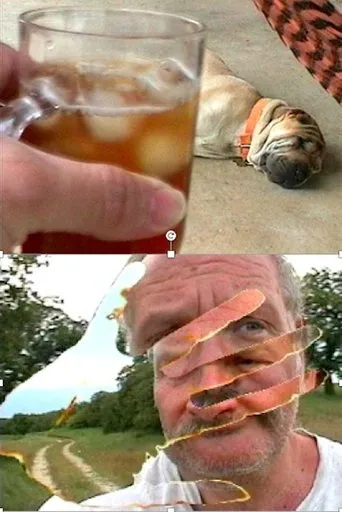 Póster de Chigger Country