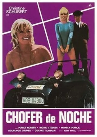 Póster de Chofer de noche