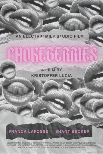 Póster de Chokeberries