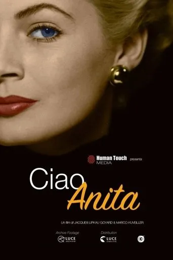 Póster de Ciao Anita