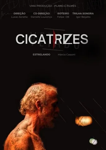Póster de Cicatrizes