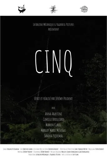 Póster de Cinq