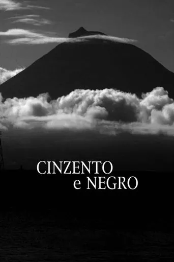 Póster de Cinzento e Negro