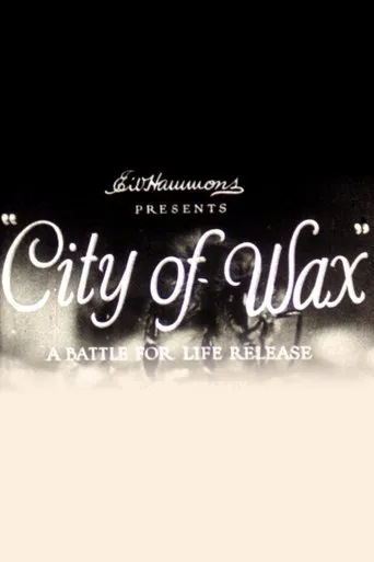 Póster de City of Wax