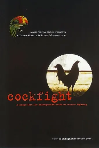 Póster de Cockfight