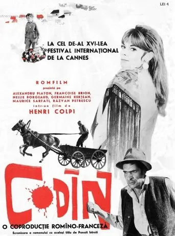 Póster de Codin