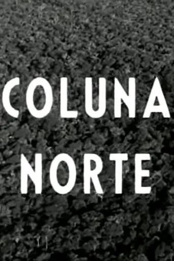 Póster de Coluna Norte