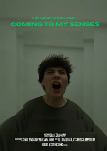 Póster de Coming to My Senses