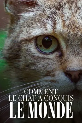 Póster de Comment le chat a conquis le monde