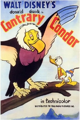 Póster de Cóndor contradictorio