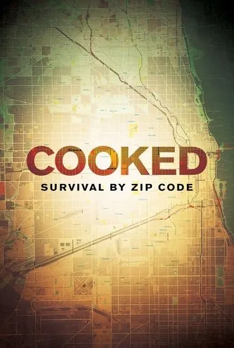 Póster de Cooked: Survival by Zip Code