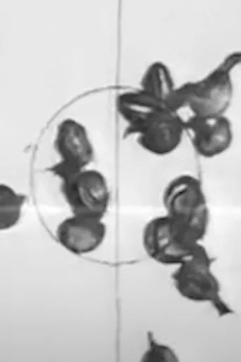 Póster de Copie Film