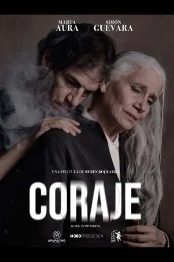 Póster de Coraje