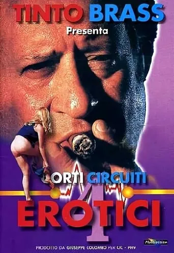 Póster de Corti circuiti erotici Vol.4