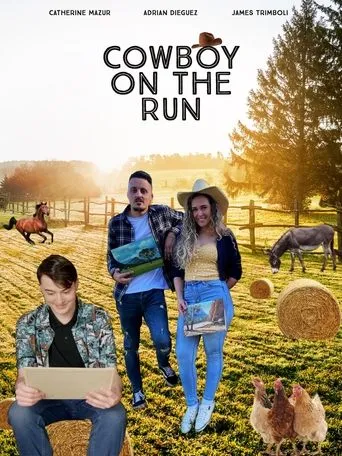 Póster de Cowboy on the Run