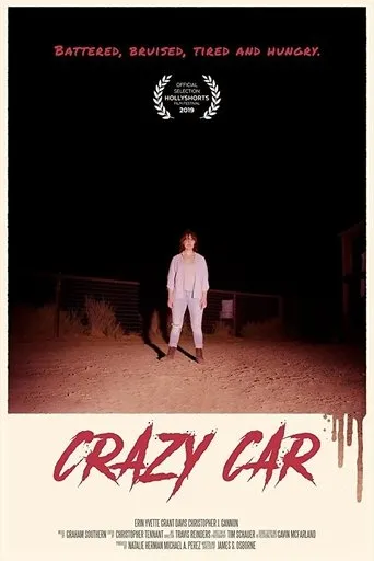 Póster de Crazy Car