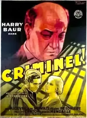 Póster de Criminel